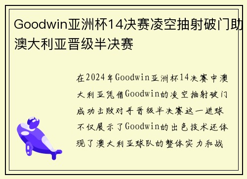 Goodwin亚洲杯14决赛凌空抽射破门助澳大利亚晋级半决赛